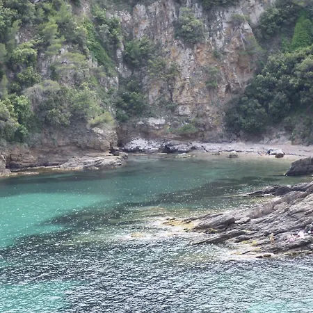 Spacious Near Sea In Sur Villa